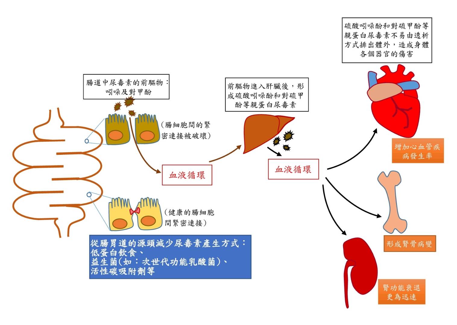 匯流新聞網CNEWS資料照195230603a03