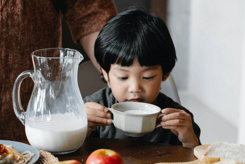 洪申翰憂紐國零關稅鮮乳恐衝擊台乳業 陳建仁允全力助本土酪農 13