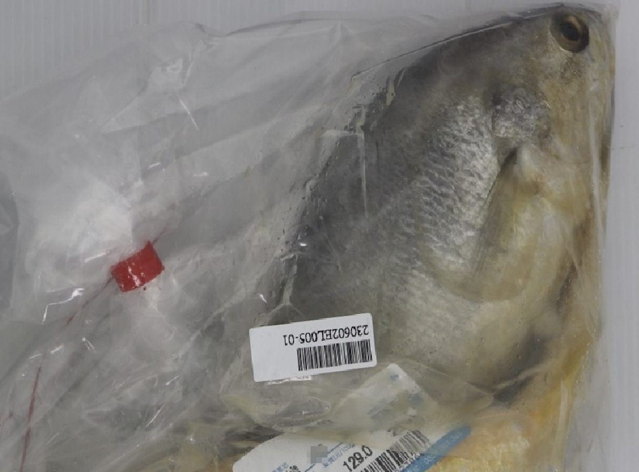 中國「黃魚」驗出禁藥！過量恐傷腎 家樂福、大潤發都有賣 9