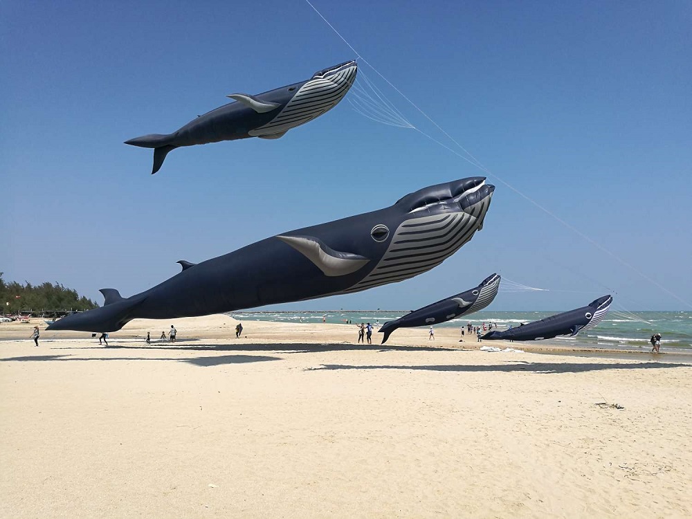 新竹市國際風箏節9月登場　全球最大30米鯨魚風箏首度同台放飛 7