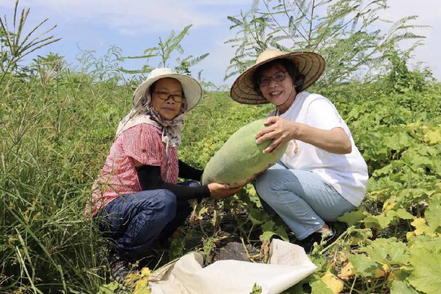 挑戰台中超艱困選區 蔡壁如：全力拚成海線「立委媽媽」 7